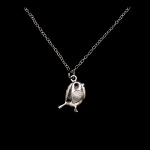 Silver plated Robin Necklace