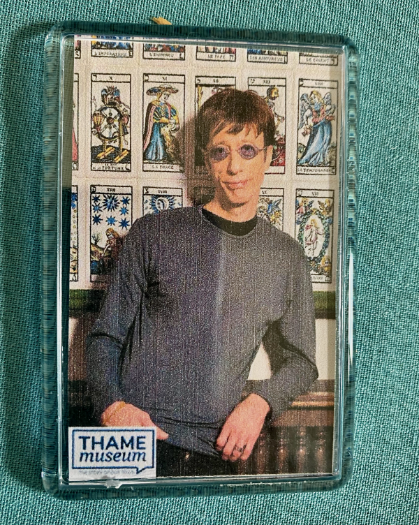 Fridge magnet - Robin in front of a wall of Tarot cards