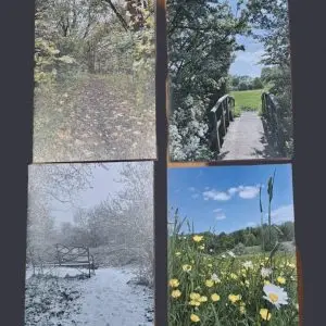 Pack of 4 postcards - views of Cuttle Brook