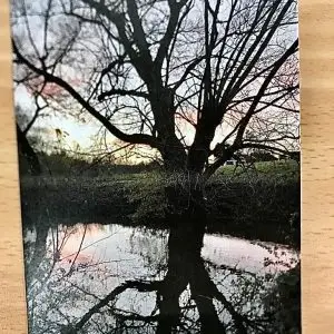 Post Card -  Reflections