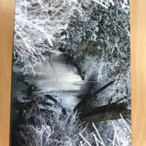 Post card - Winter Reflections