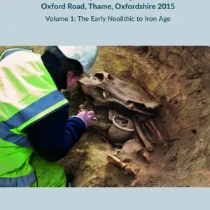 Early Thame : Archaeological Investigations 2015  Volume 1